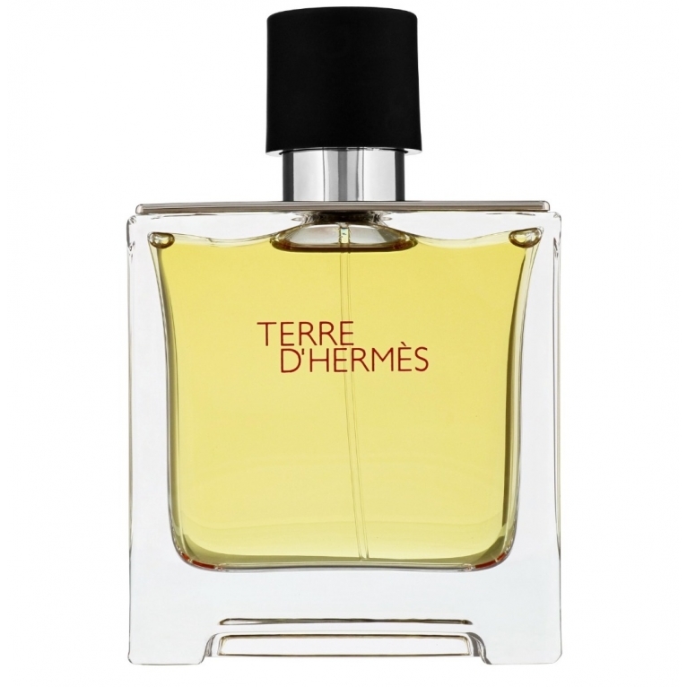 Hermes  Terre D' -  100ml Eau De Toilette Spray
